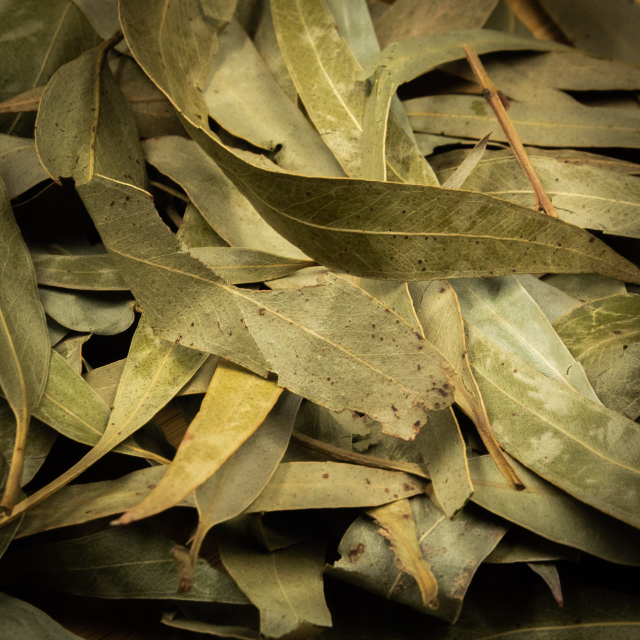 Листья эвкалипта Тайланд 25 грамм, Картинка