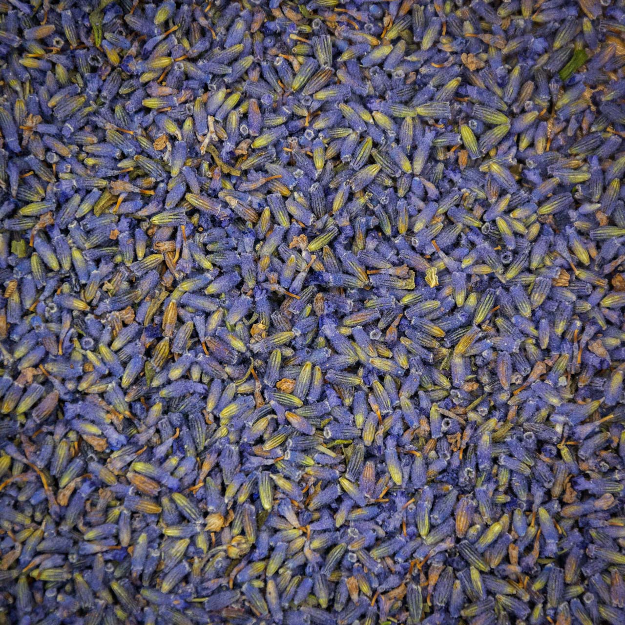 Лаванда сушеные цветы 50 грамм, Картинка