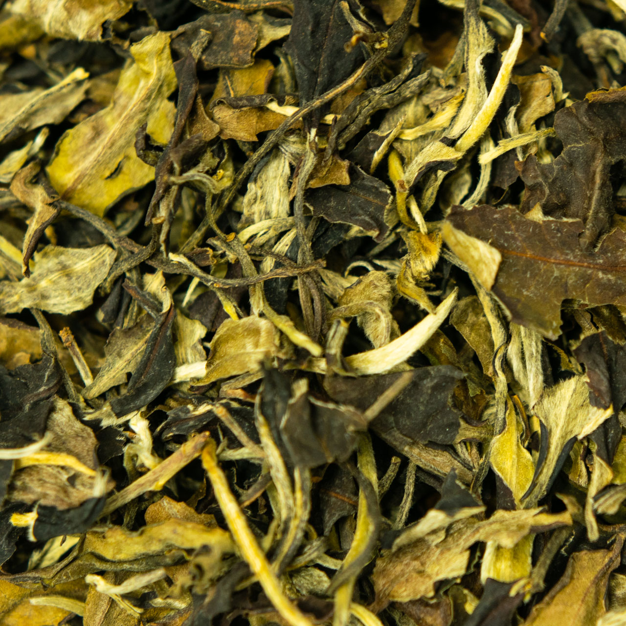 Білий чай "Місячне Світло" 50 грам, Фото Білий чай "Місячне Світло" 50 грам, Картинка