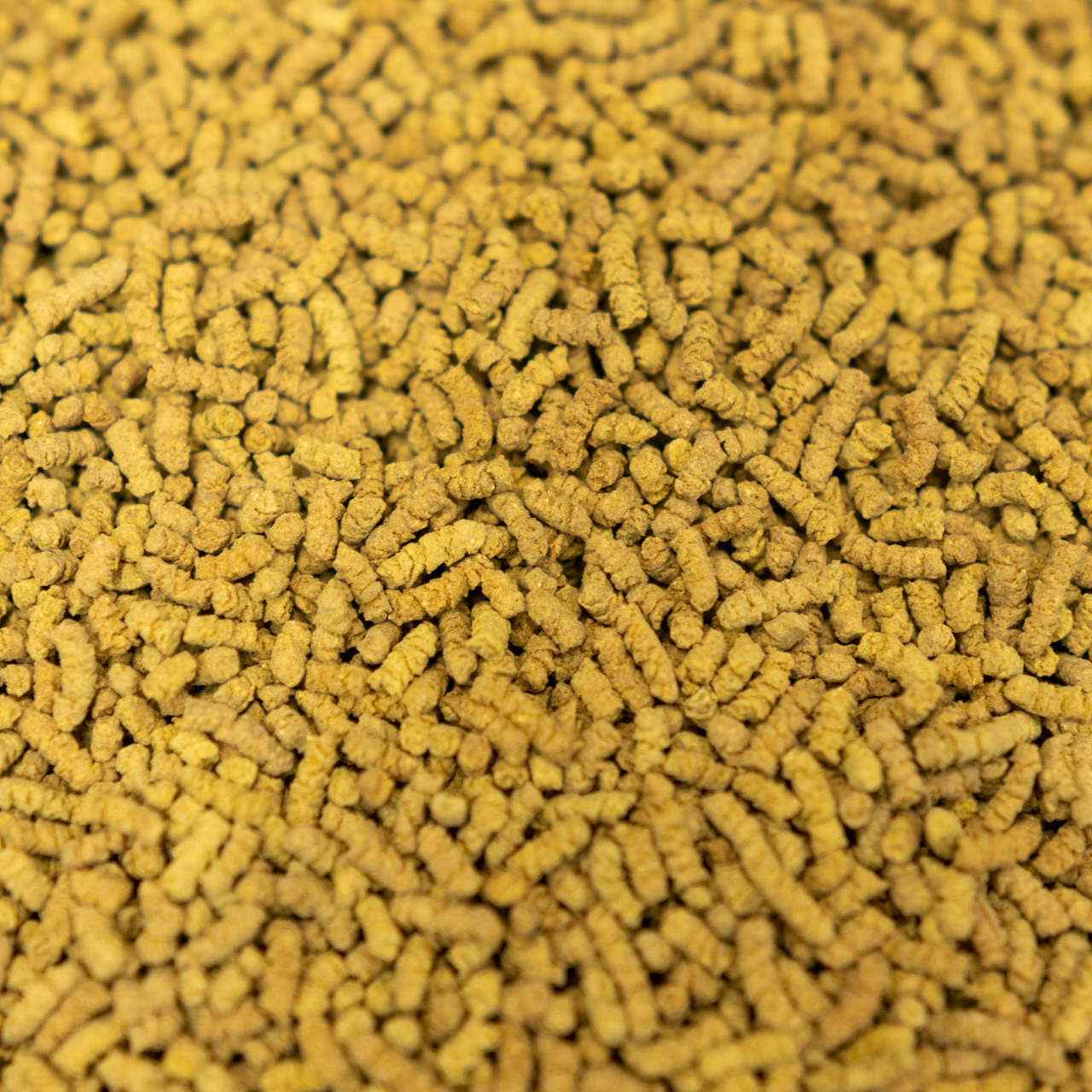 Гречаний чай "Ку Цяо" світлий 100 грам, Фото Гречаний чай "Ку Цяо" світлий 100 грам, Картинка