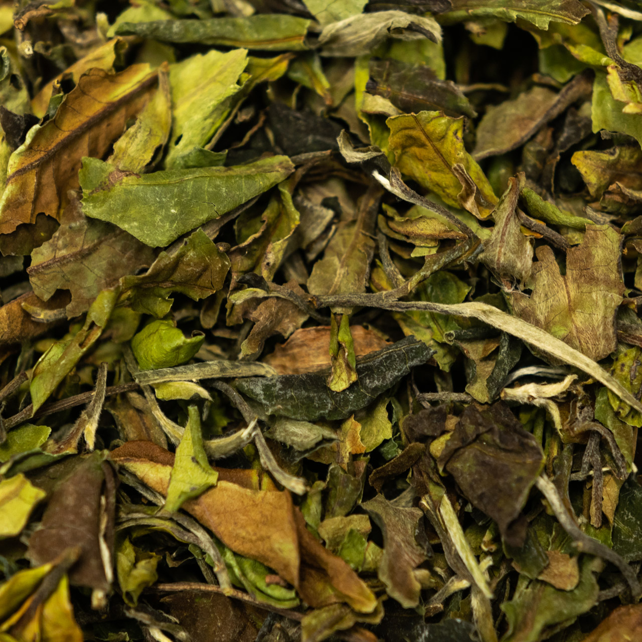 Білий чай "Шоу Мей" 50 грам, Фото Білий чай "Шоу Мей" 50 грам, Картинка