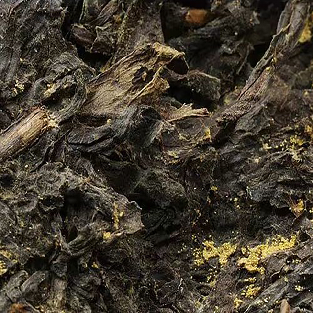 Чорний чай Хей Ча "Шоу Чжу" 100 грам 2015 рік, Картинка