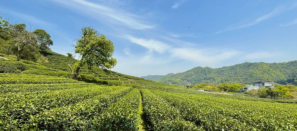 Походження Походження